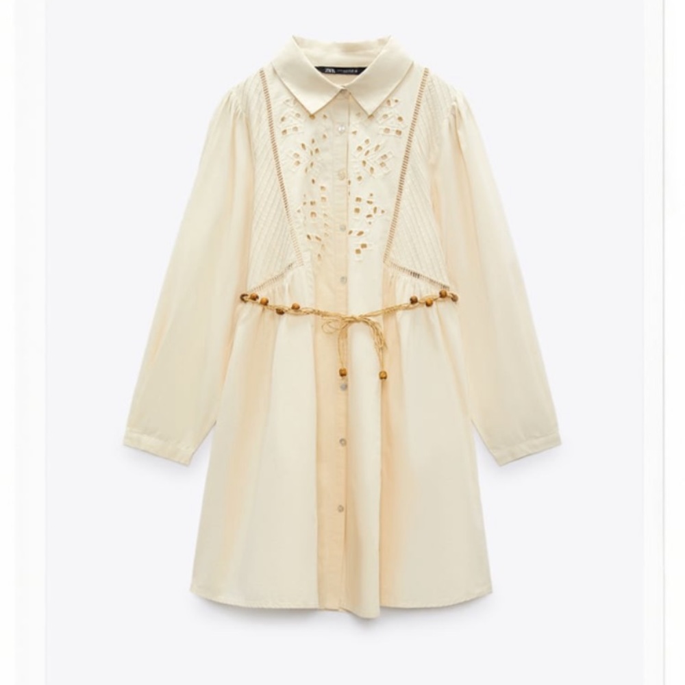 Zara Belted Shirt Dress - Picture 10 of 12
